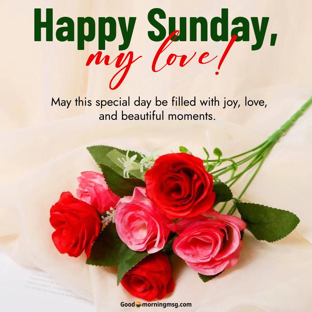Happy Sunday Rose Images
