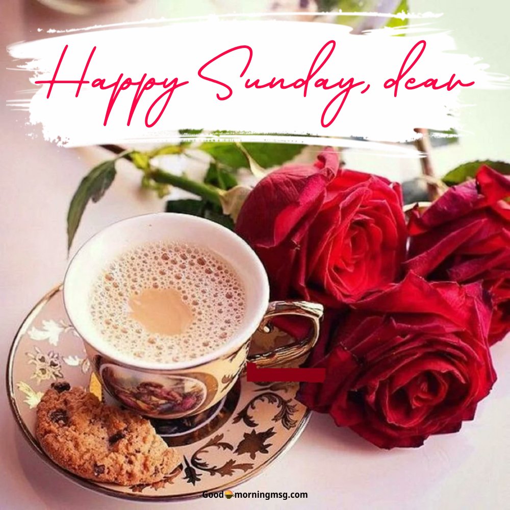 Happy Sunday Rose Quotes