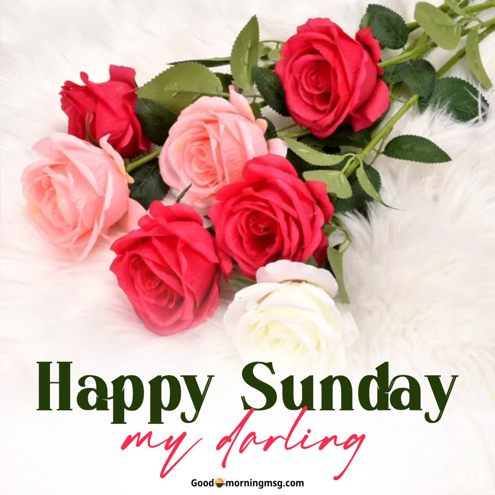 Happy Sunday With Roses