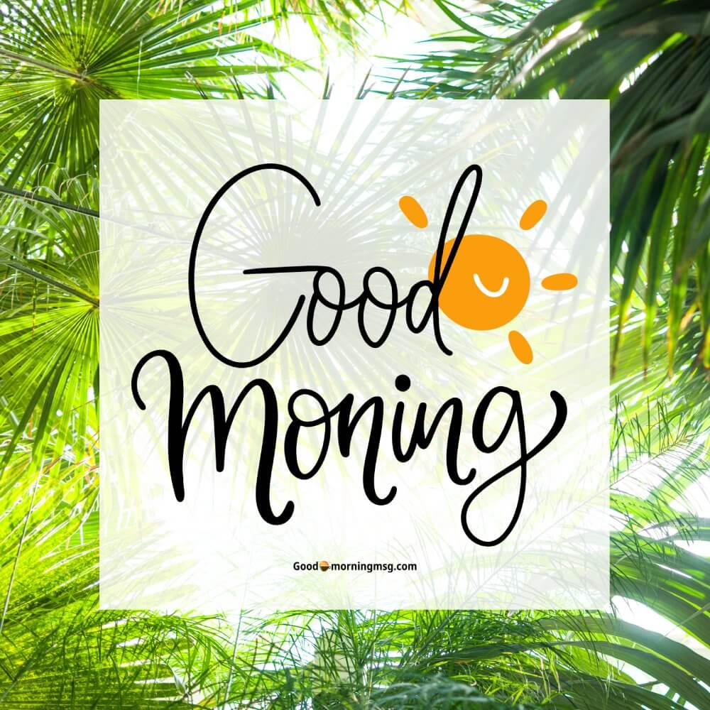 Happy Weekend Pic