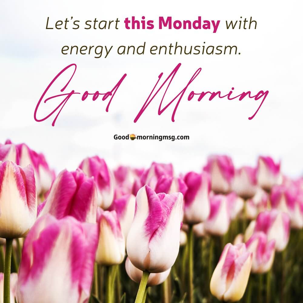 Monday Blessings For The Week