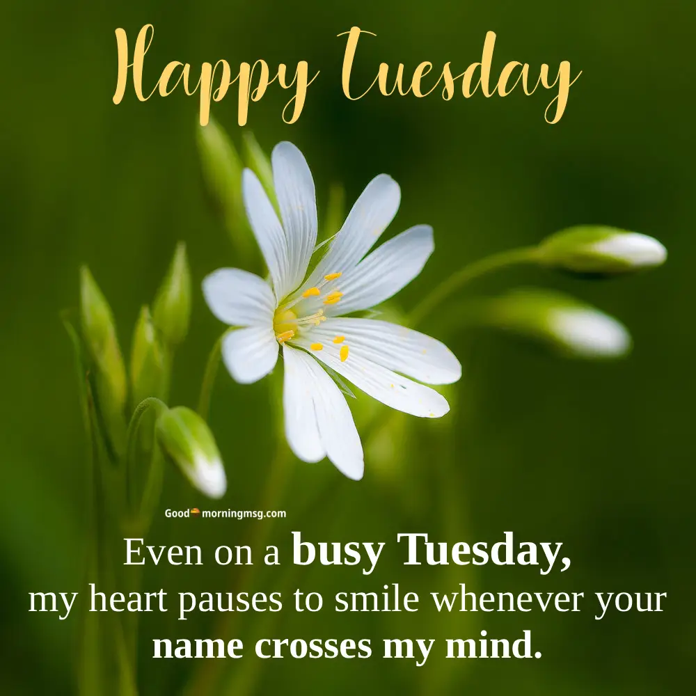 Tuesday Inspirational Images