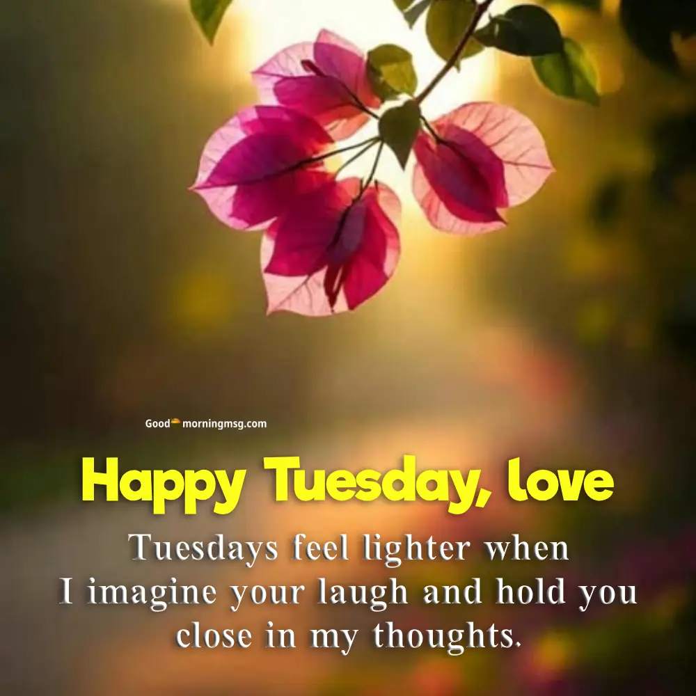 Tuesday Morning Blessings Quotes