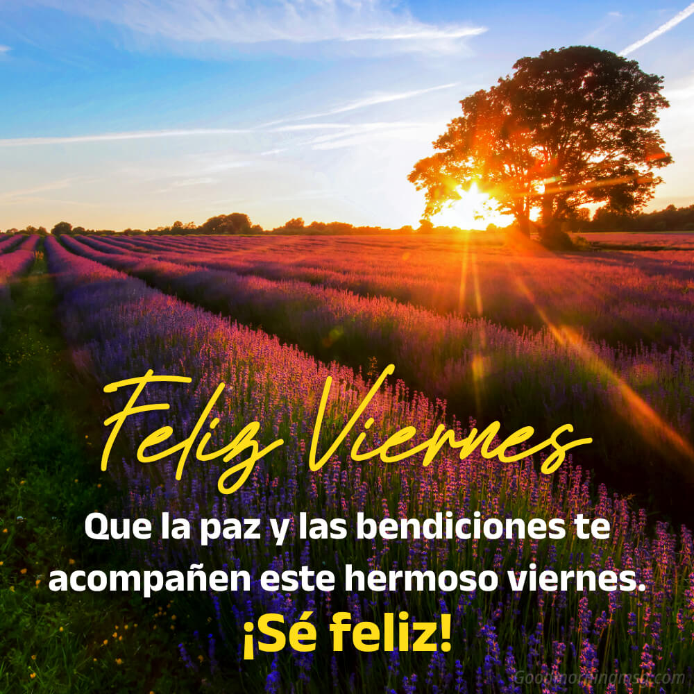 Buen Dia Viernes