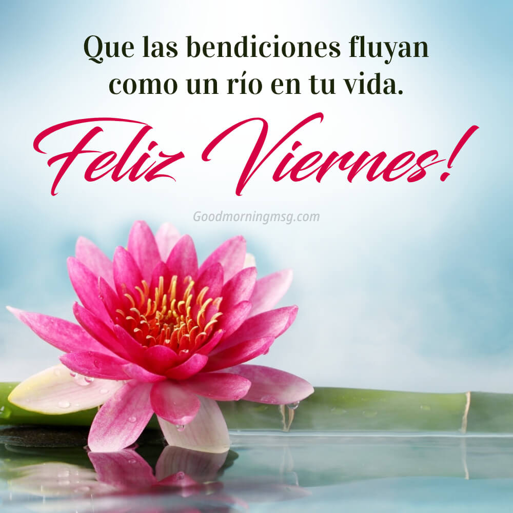 Feliz Viernes Bendiciones Imágenes