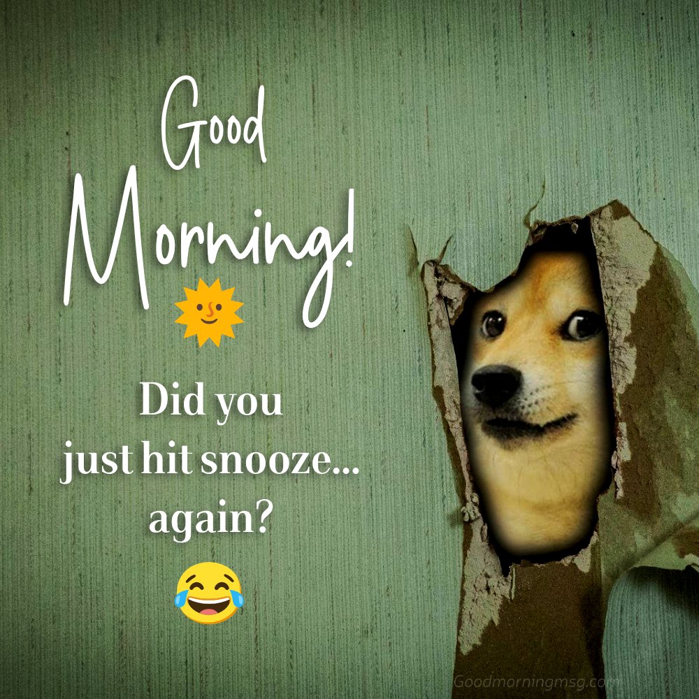 Flirty Good Morning Memes For Her