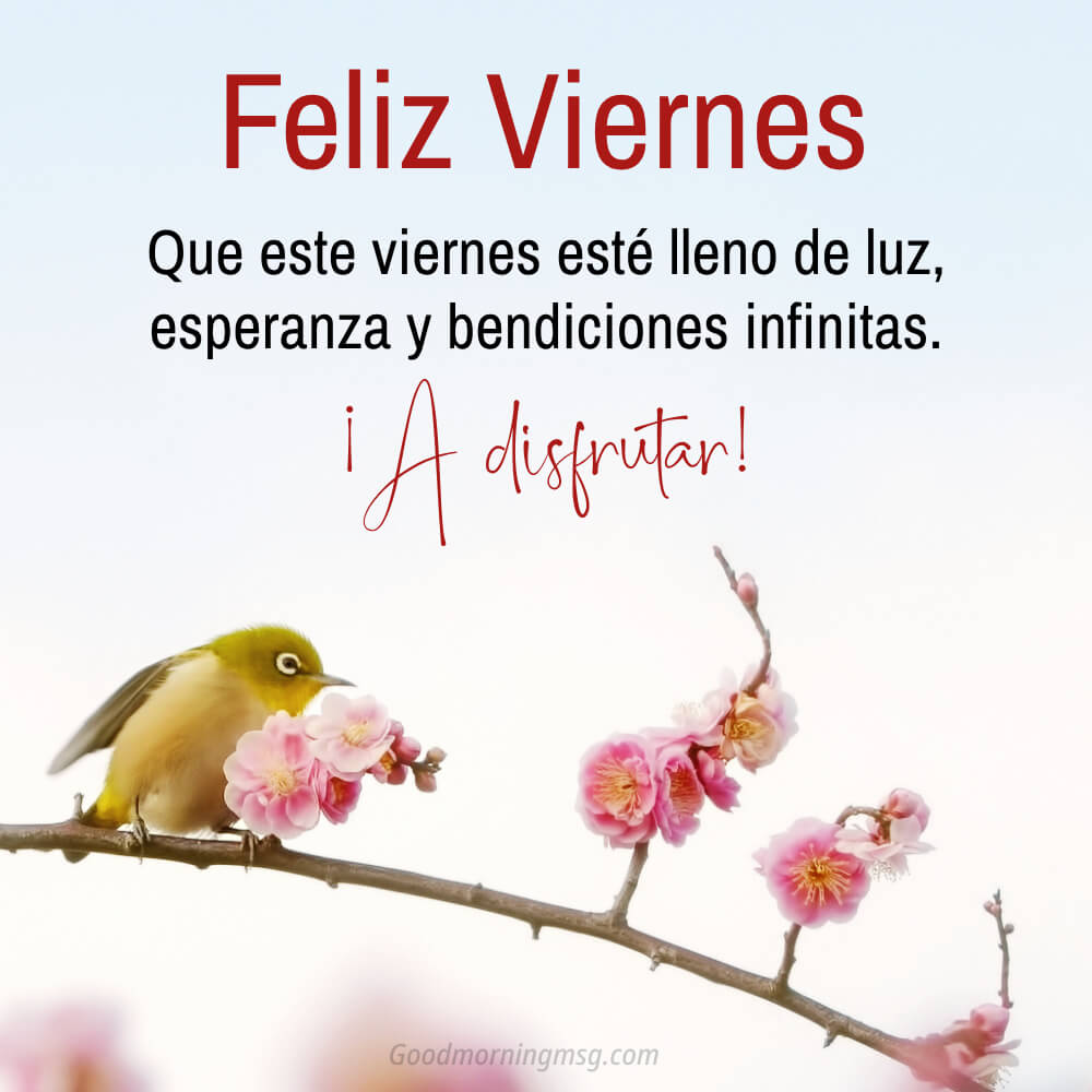 Frases Buenos Dias Feliz Viernes