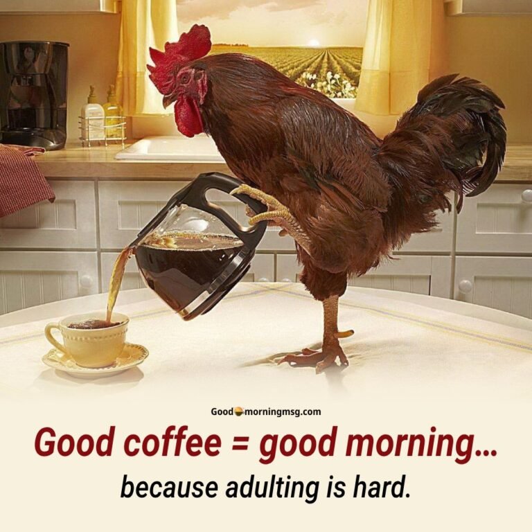 Good Morning Funny Memes Images - goodmorningmsg.com - goodmorningmsg.com