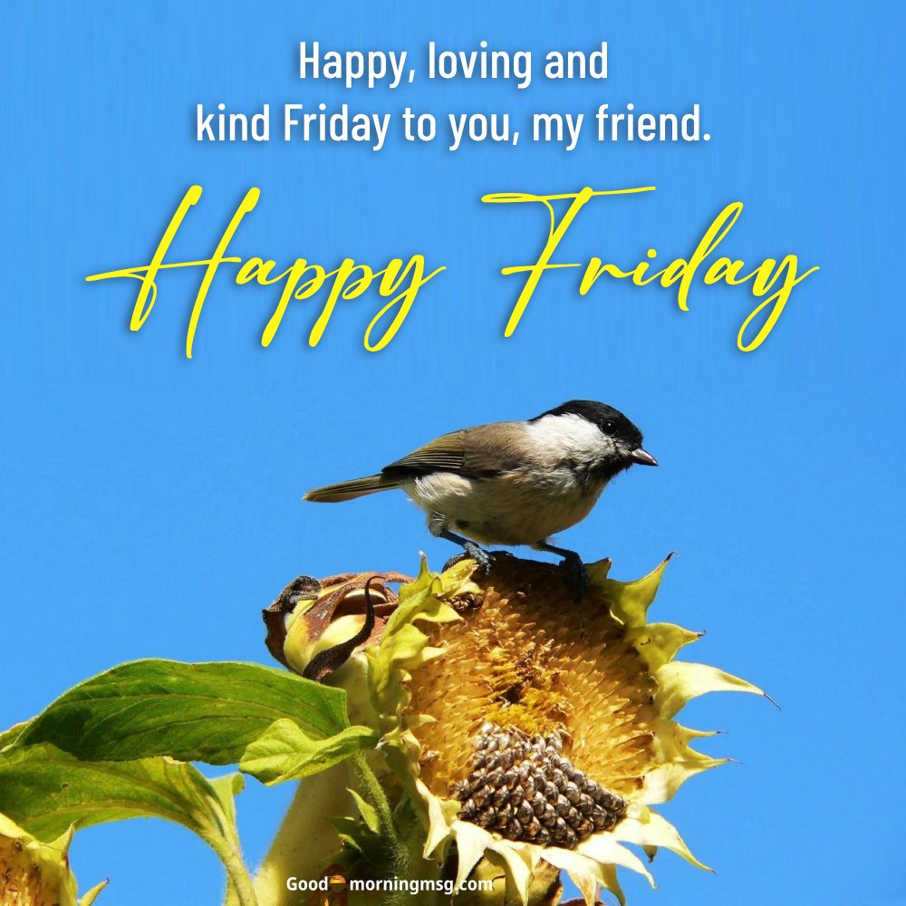 Good Morning Friday Blessings And Prayers