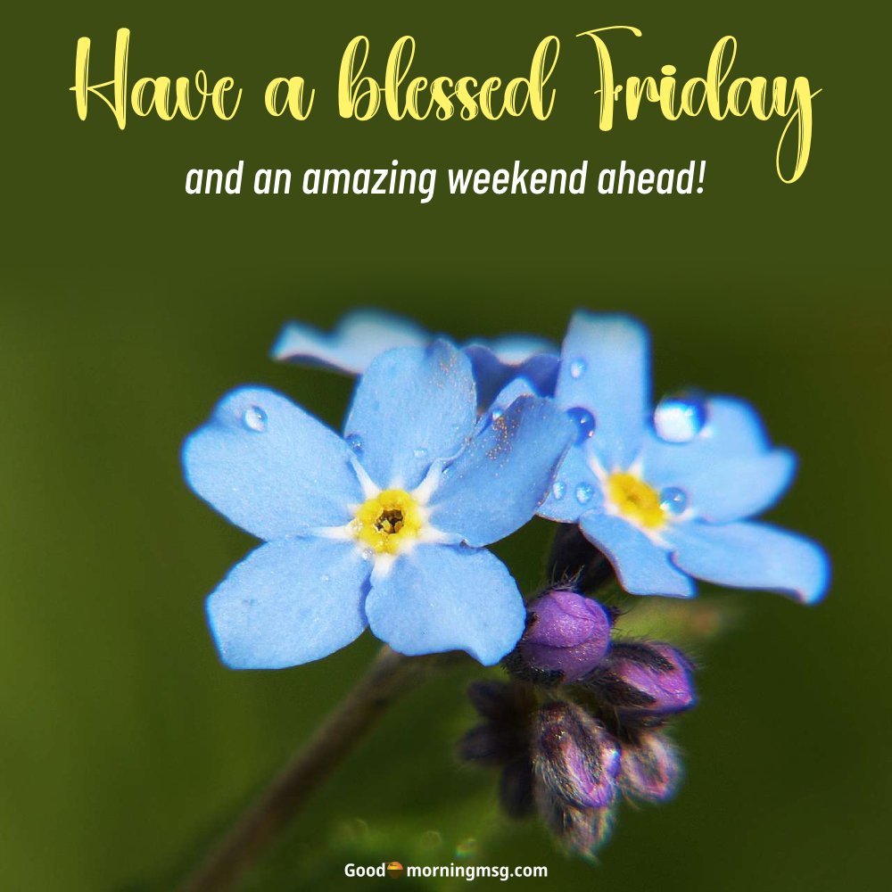 Good Morning Friday Spiritual Quotes