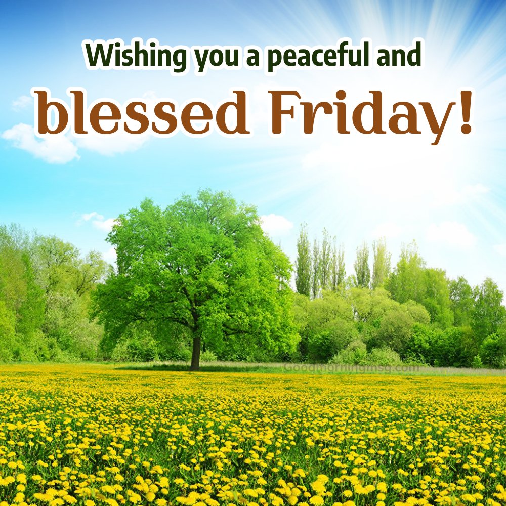 Happy Blessed Friday