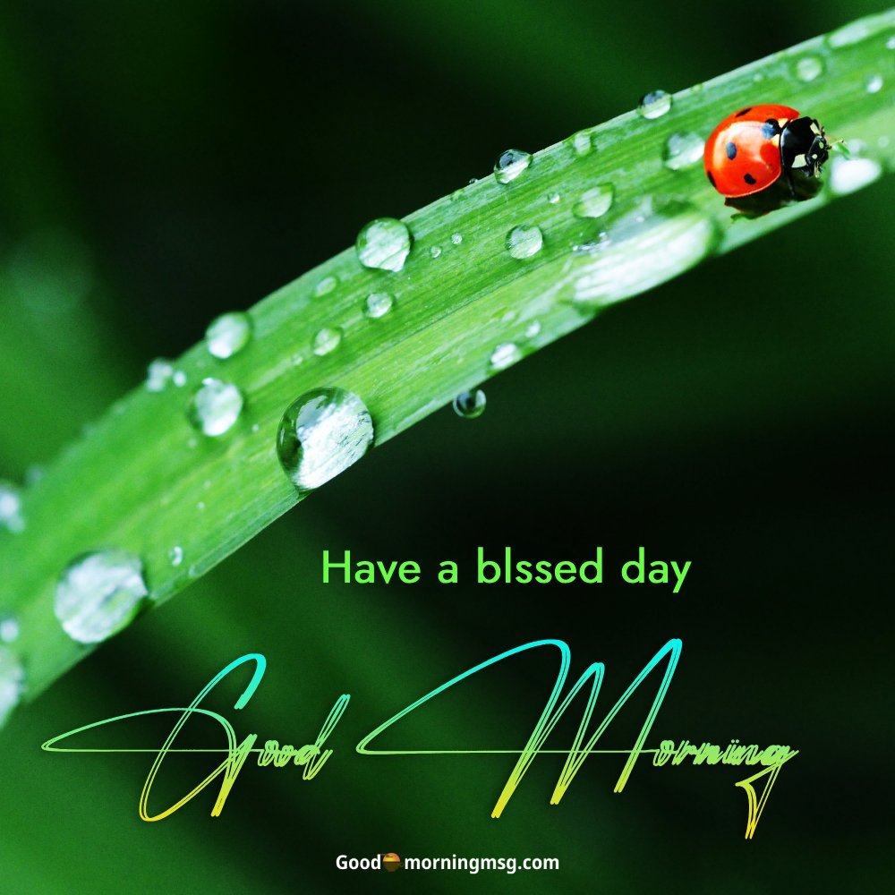 Happy Monday Love Quotes