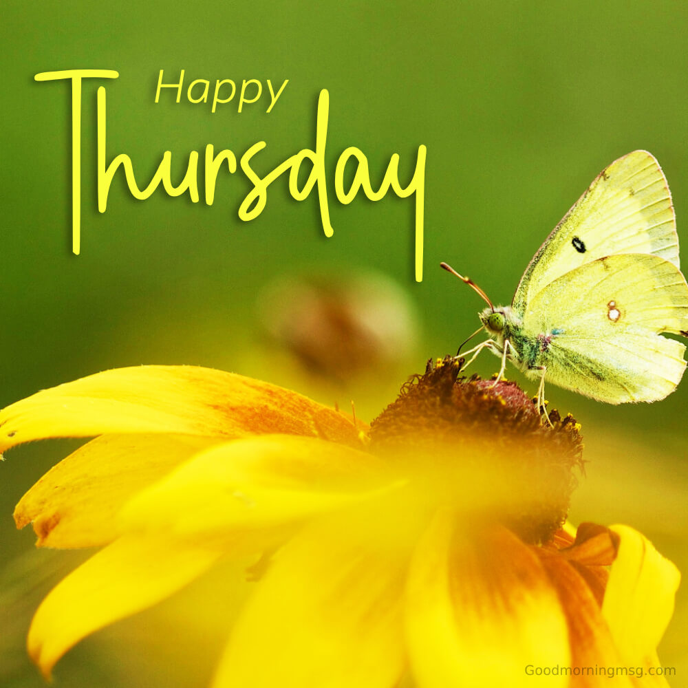 Happy Thursday With Yellow Flower Full Hd Download