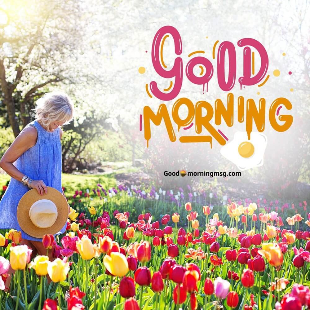 Monday Blessings And Prayers