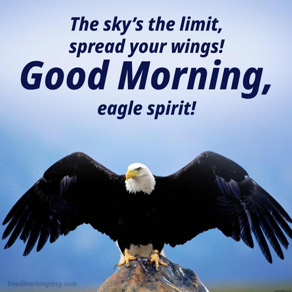 Quote Eagle Good Morning