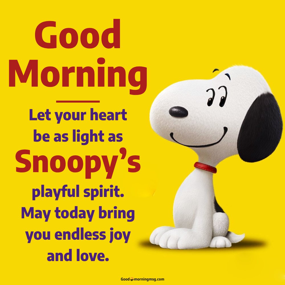 Snoopy Morning