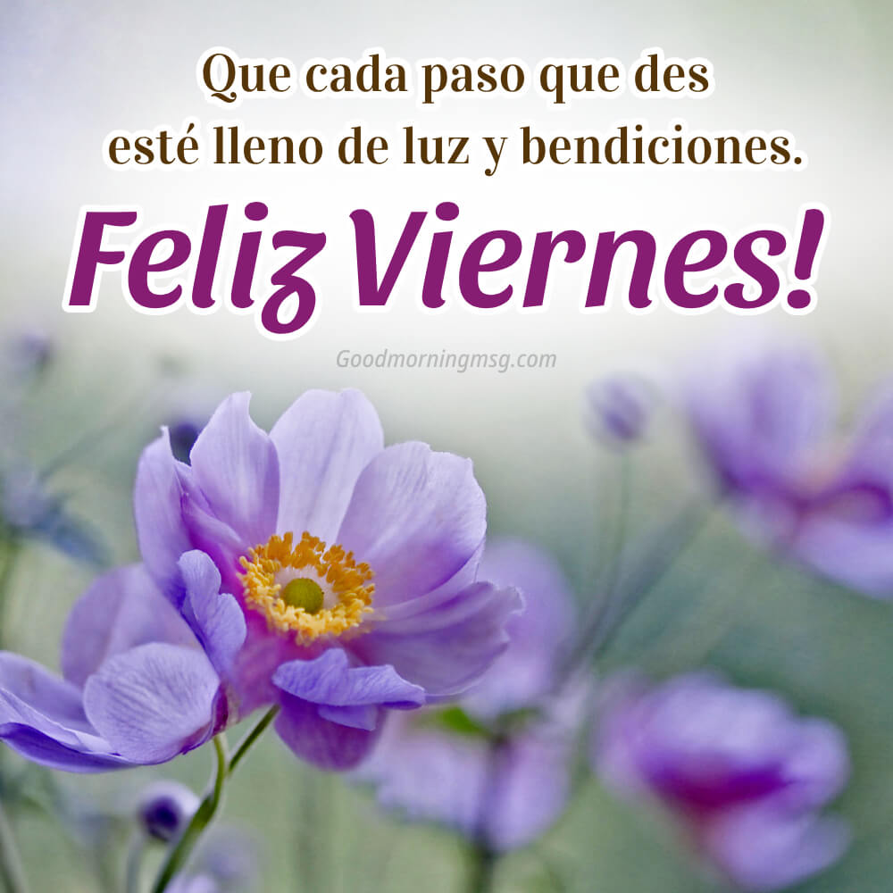 Viernes Bendiciones