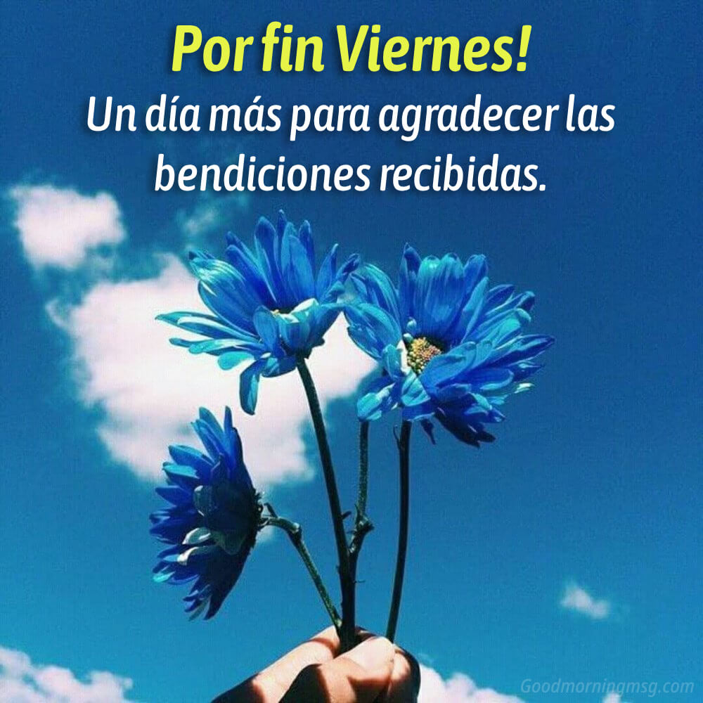 Viernes De Bendiciones