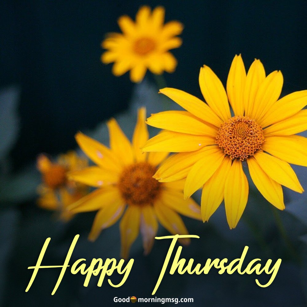 Yellow Flowers Background