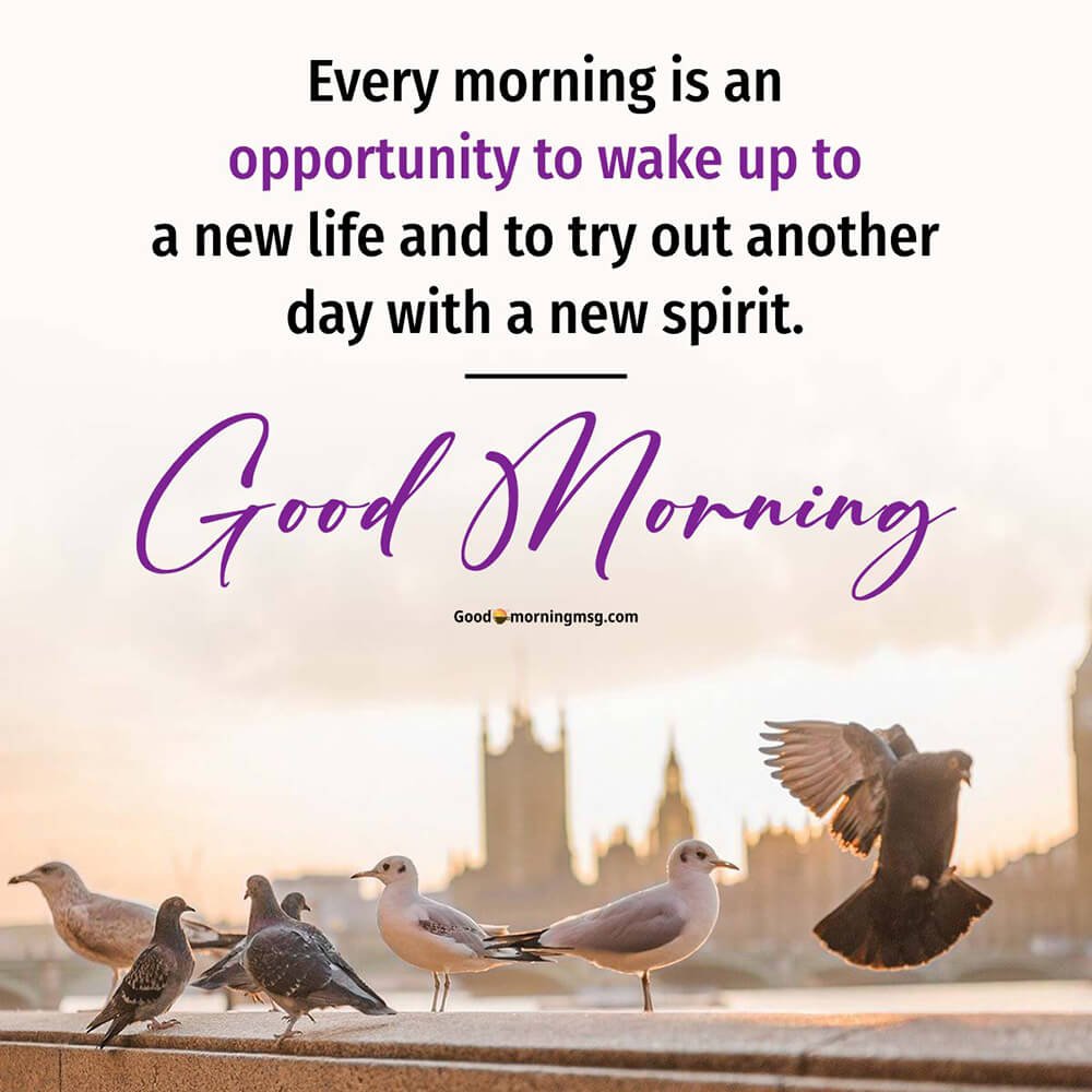 Wake Up Cute Quotes Good Morning Images Quotes Greetings Text 2023 Wake Up Cute Quotes Good Morning Images Quotes Greetings Text 2023