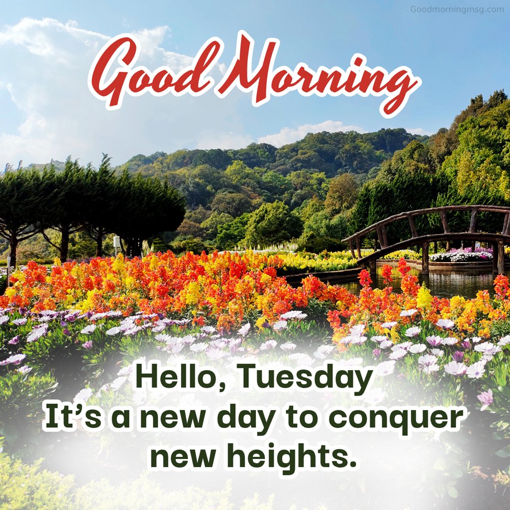 Good Morning Tuesday