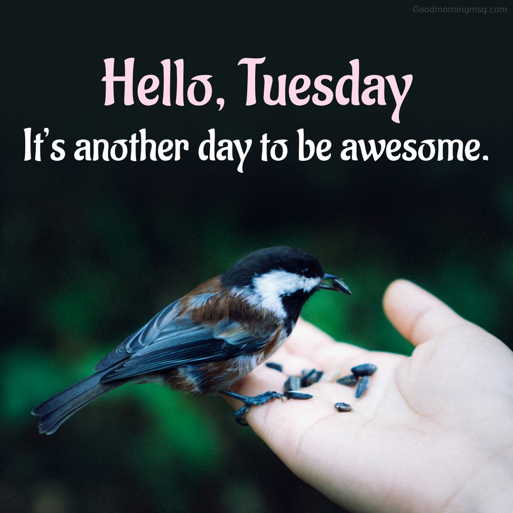 Tuesday Blessings Images