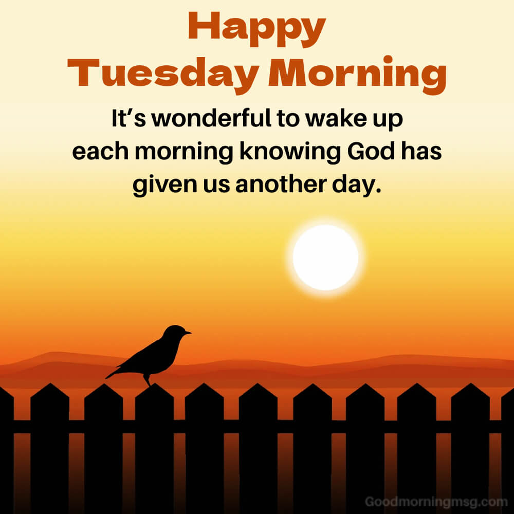 Thankful Tuesday Blessings