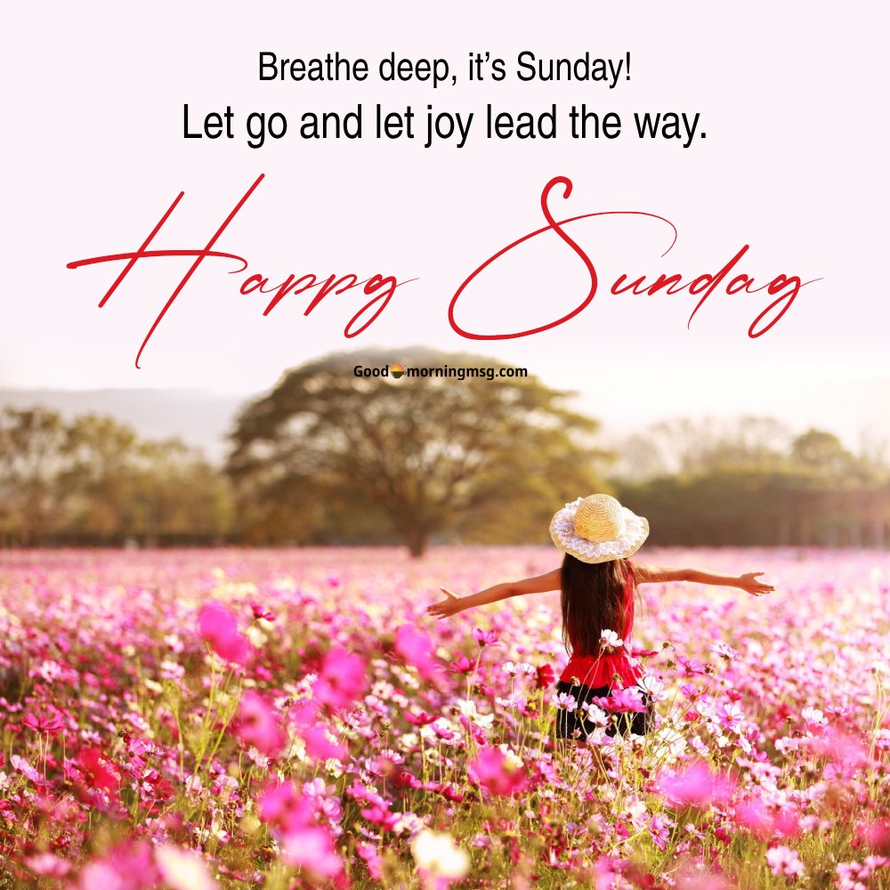 150+ Happy Sunday Good Morning Images