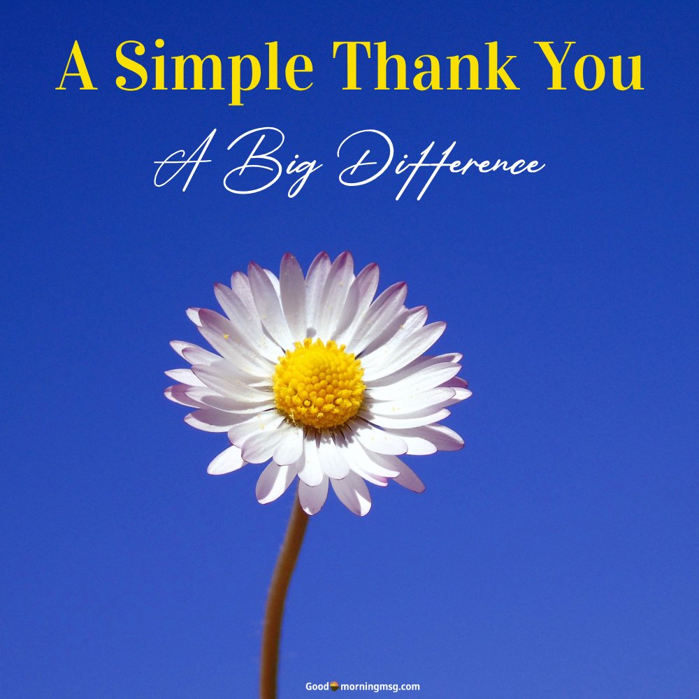 50 Heartfelt Thank You Messages and Quotes - goodmorningmsg.com ...