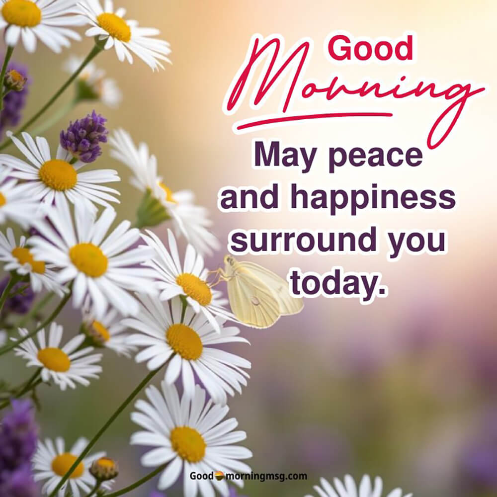 Good Morning Flower Images Hd
