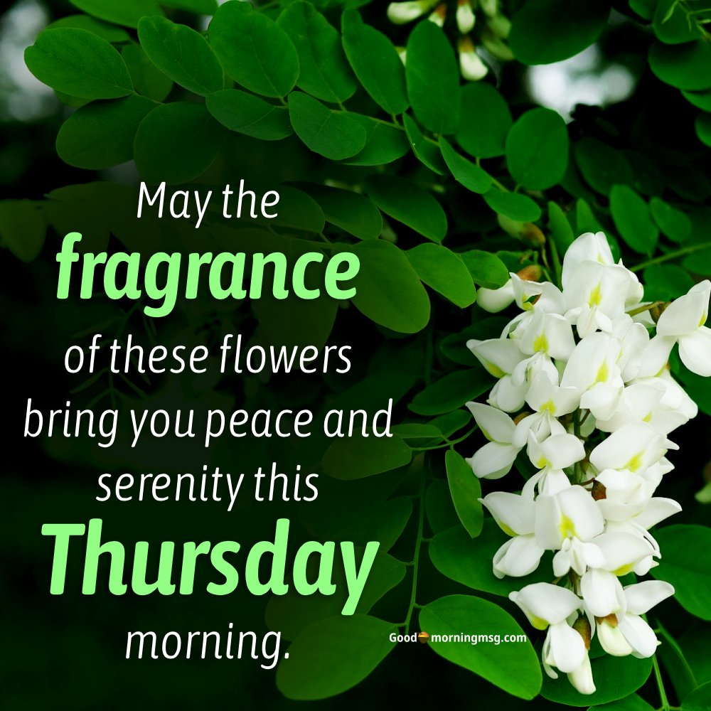 Morning Thursday Blessings