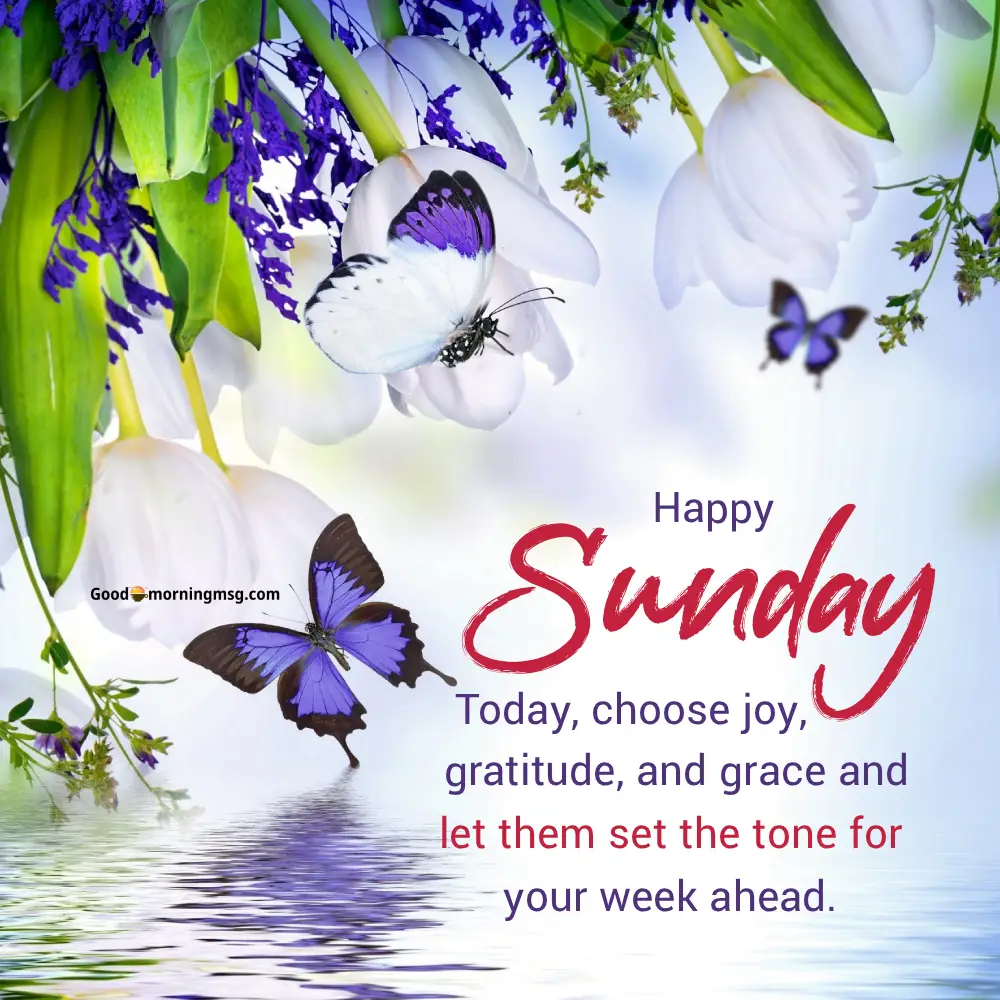 Motivational Morning Quotes I Goodmorningmsg