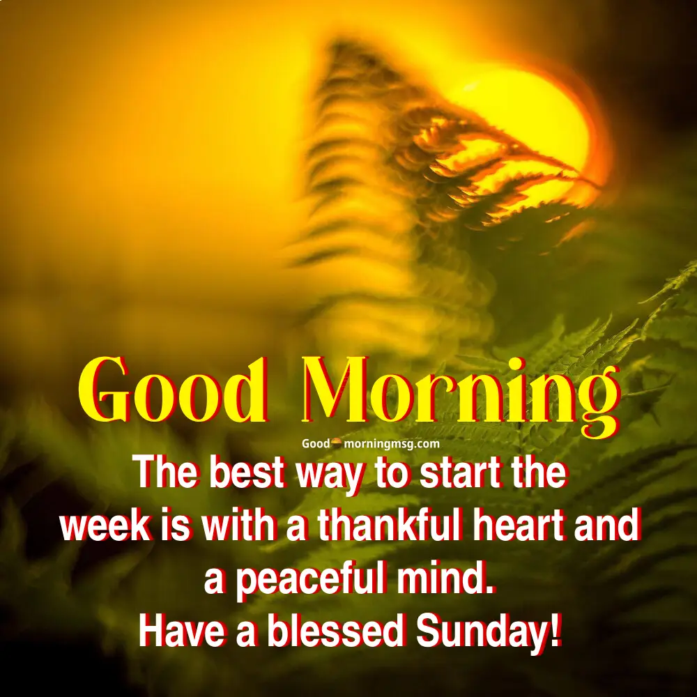 Positivity Good Morning Sunday Inspirational Quotes I Goodmorningmsg