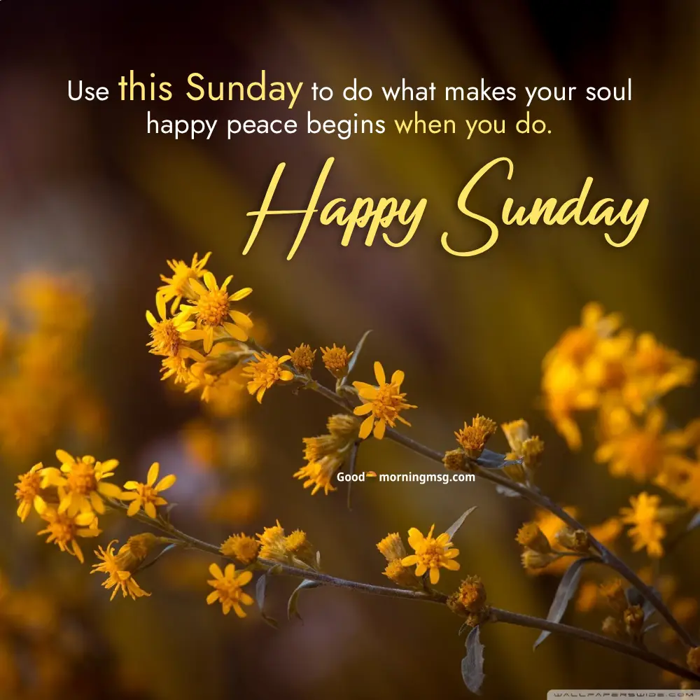 Relax Quotation I Goodmorningmsg