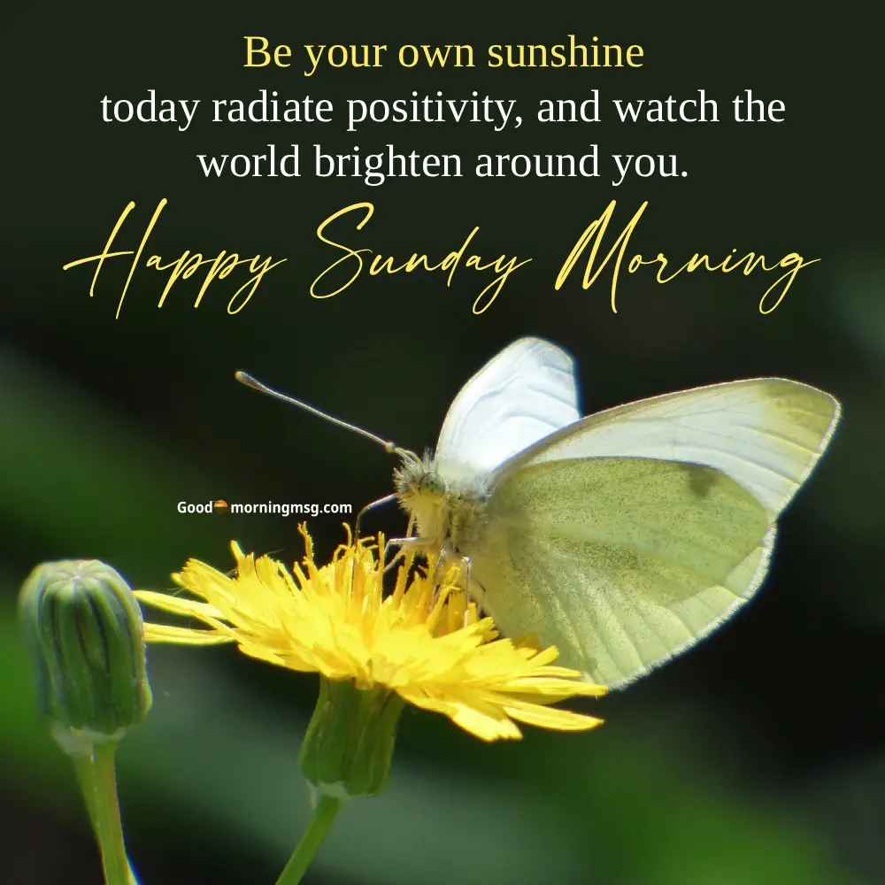 Sunday Blessings Images And Quotes I Goodmorningmsg