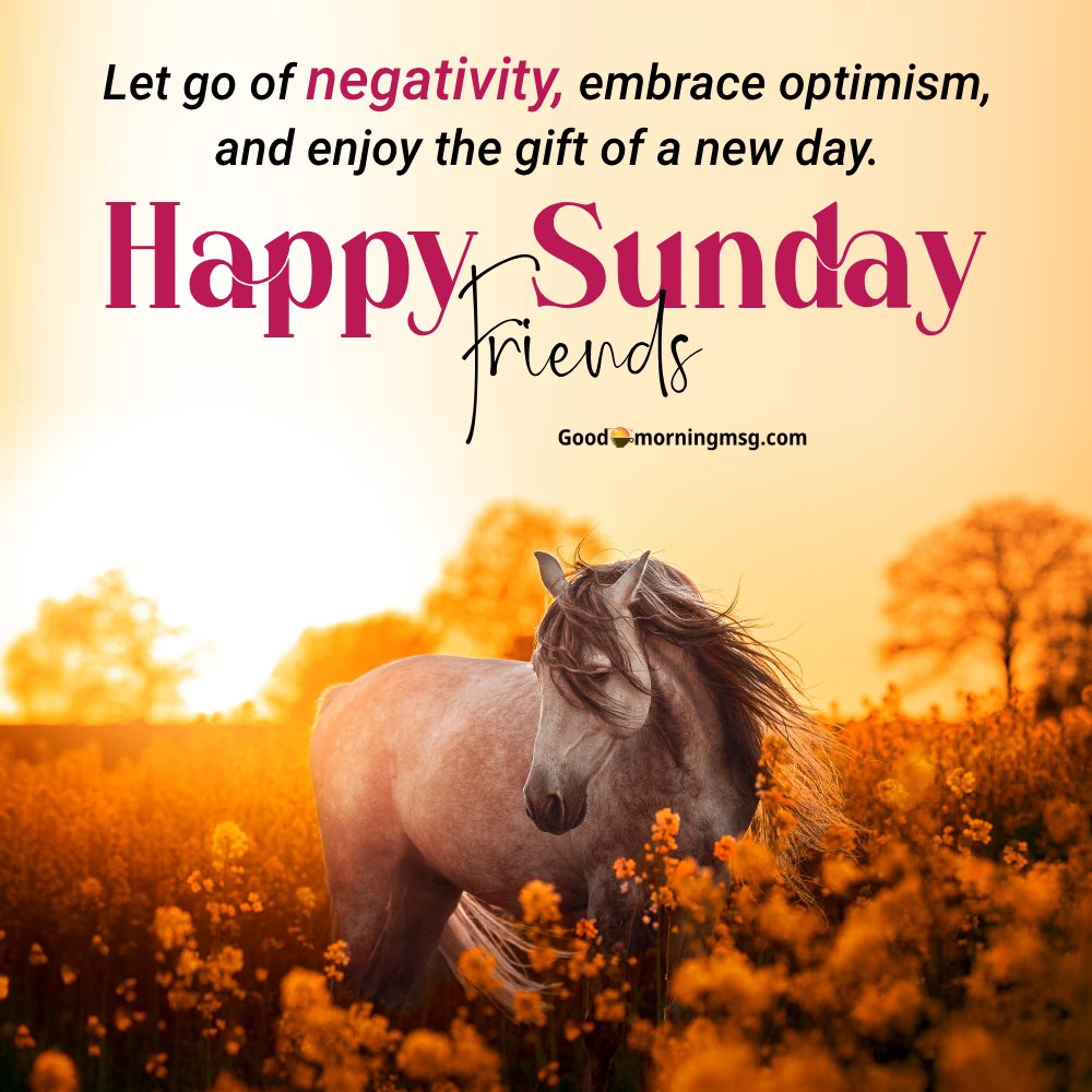 Sunday Vibes Quotes I Goodmorningmsg