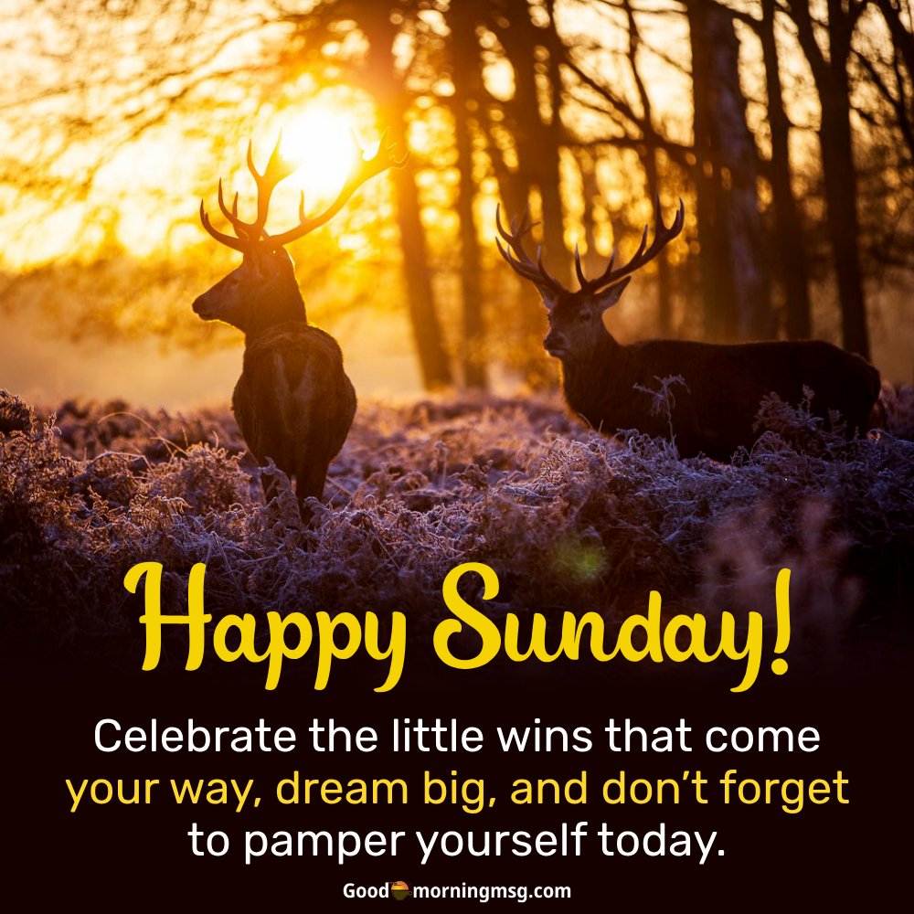 Sunday Weekend Quotes For Work I Goodmorningmsg