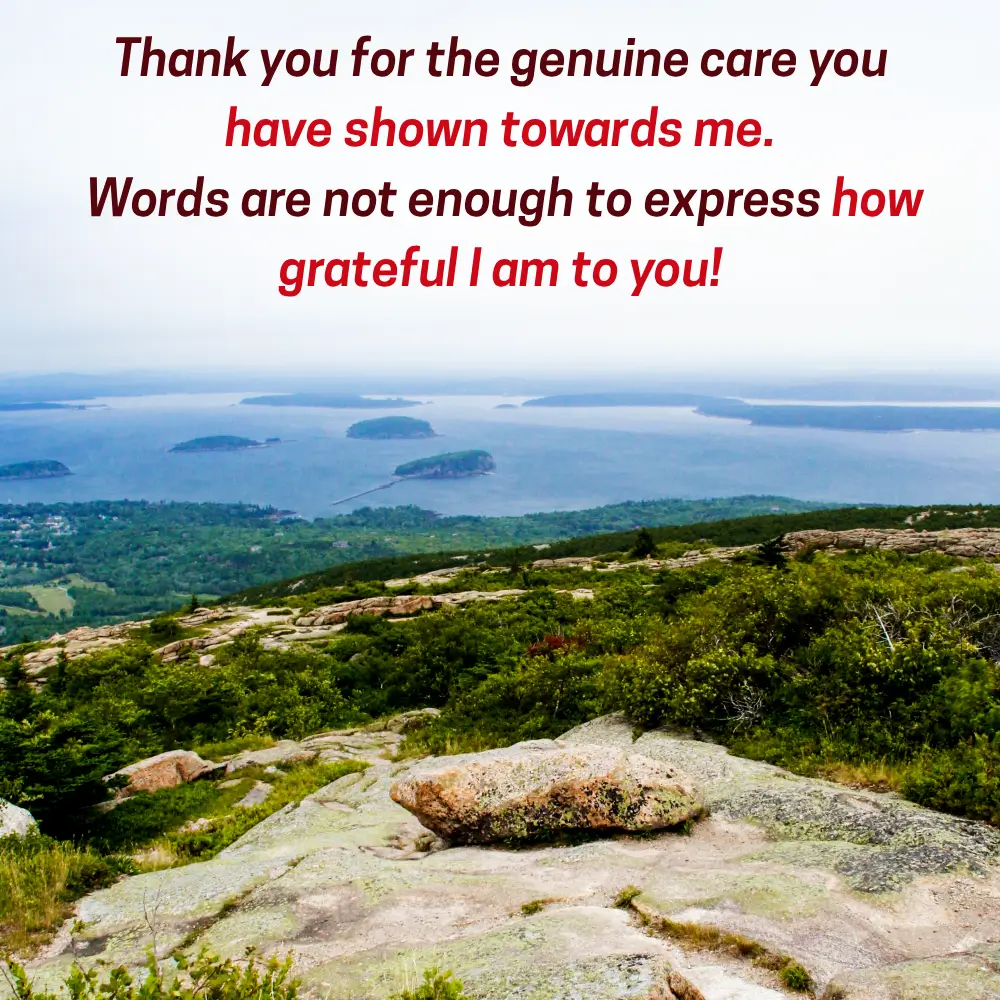 Thank You Birthday Message For Family And Friends