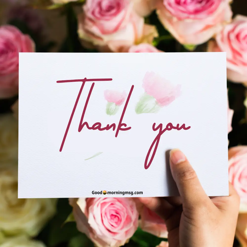 Thank You In Korean