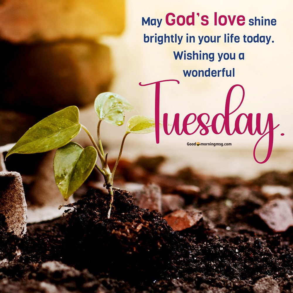 Good Morning Tuesday Images