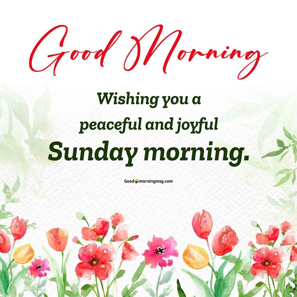 Good Morning And Happy Sunday Blessings Images Goodmorningmsg Good Morning And Happy Sunday Blessings Images Goodmorningmsg