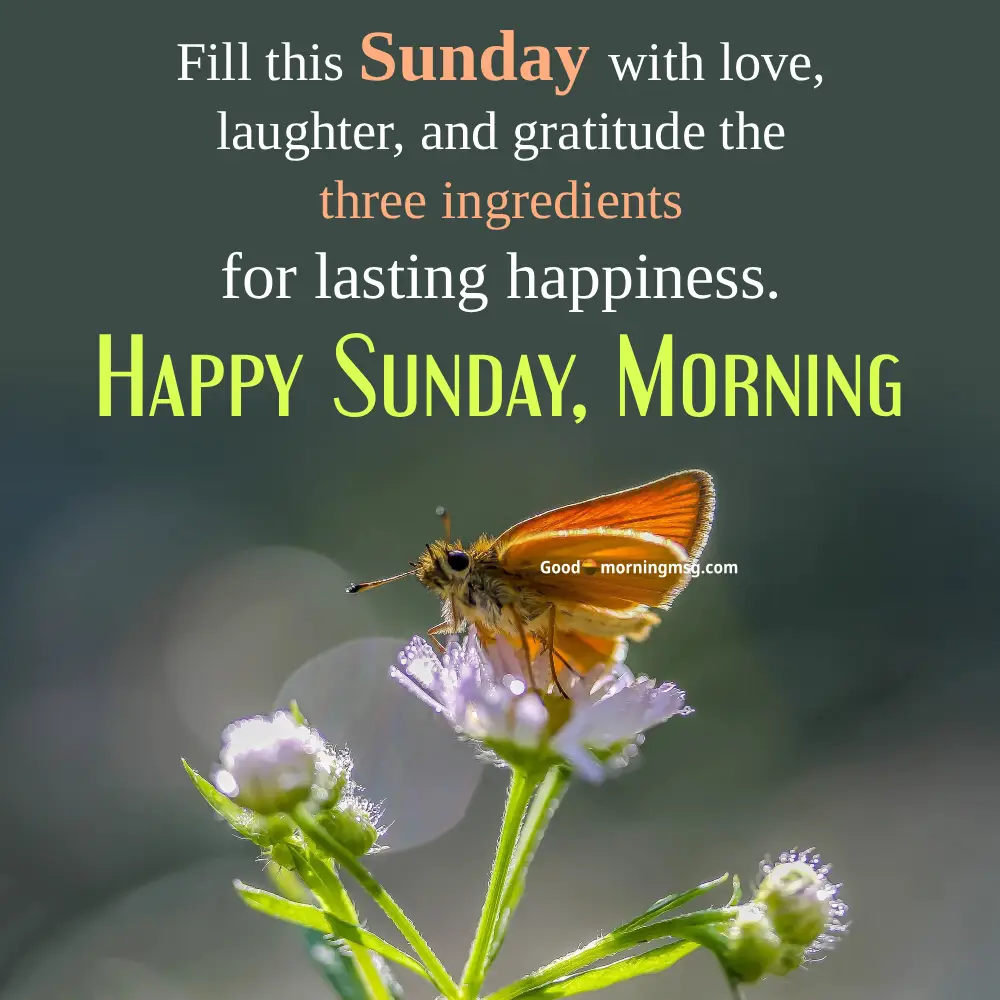 Inspirational Good Morning Monday Blessings I Goodmorningmsg