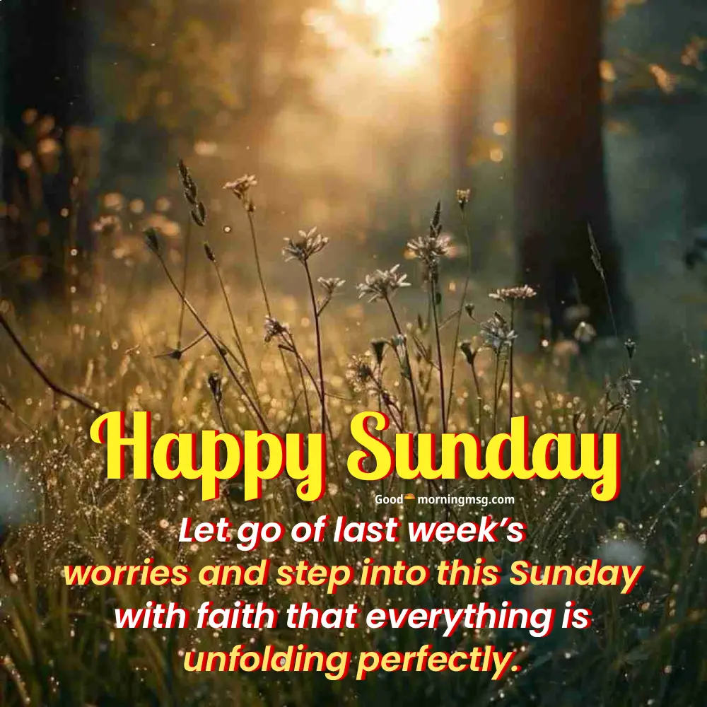 Morning Messages I Goodmorningmsg