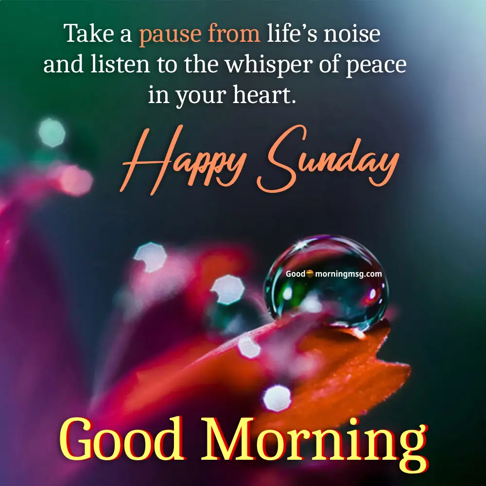 Morning Sunday Morning I Goodmorningmsg