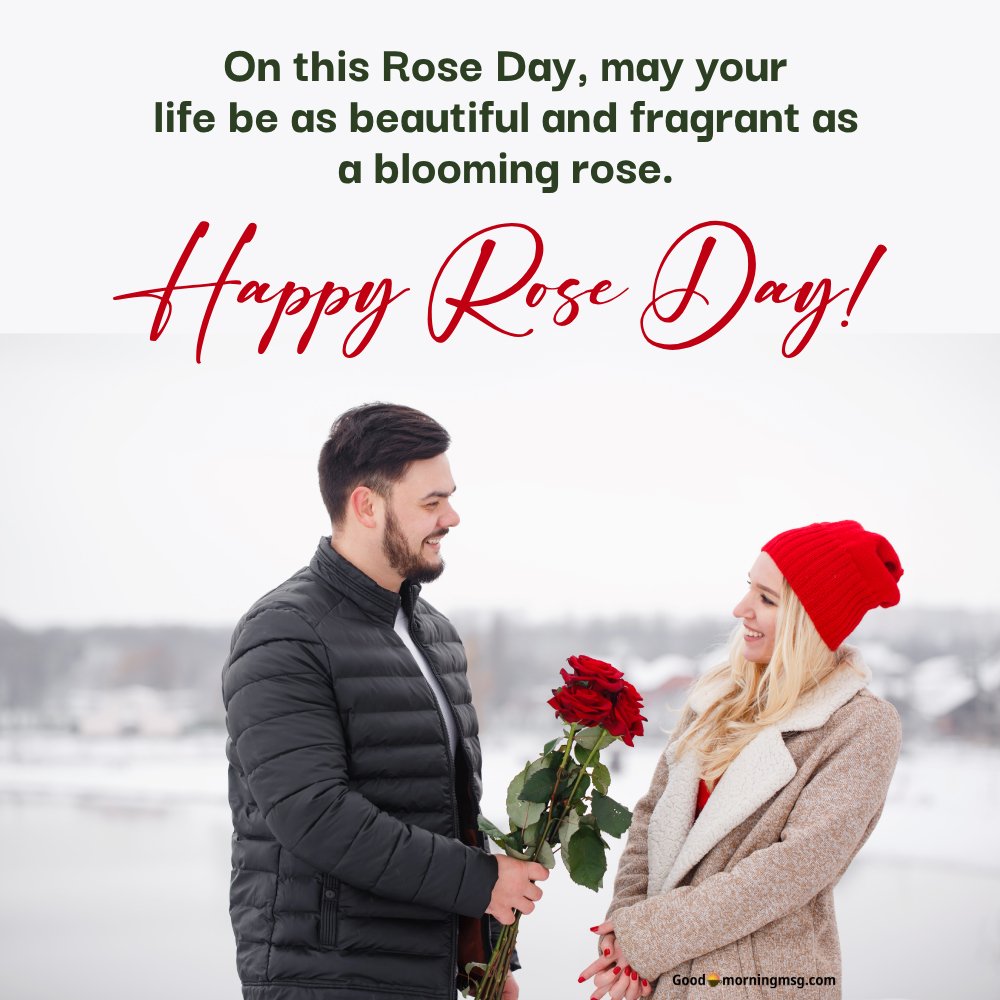 Valentine's Day Rose Bouquet