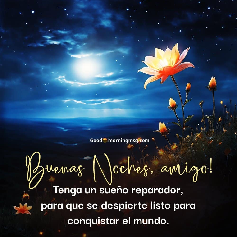 Imagenes De Buenas Noches I Goodmorningmsg