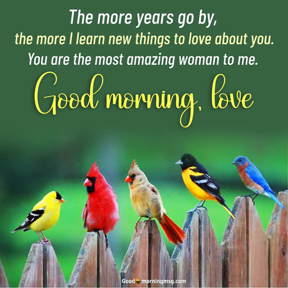 Beautiful Image Of Birds