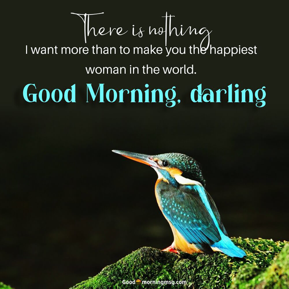 Bird Wallpaper