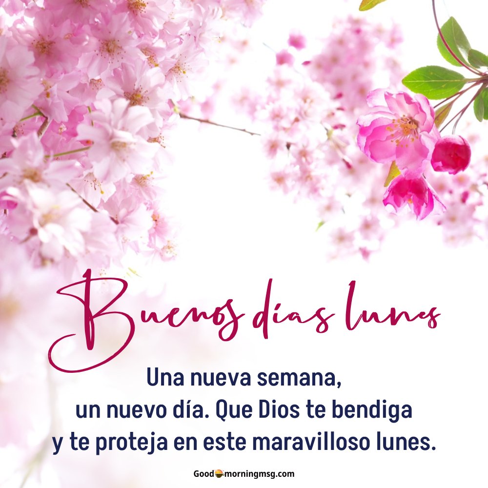 Buenos Dias Feliz Lunes Bendiciones