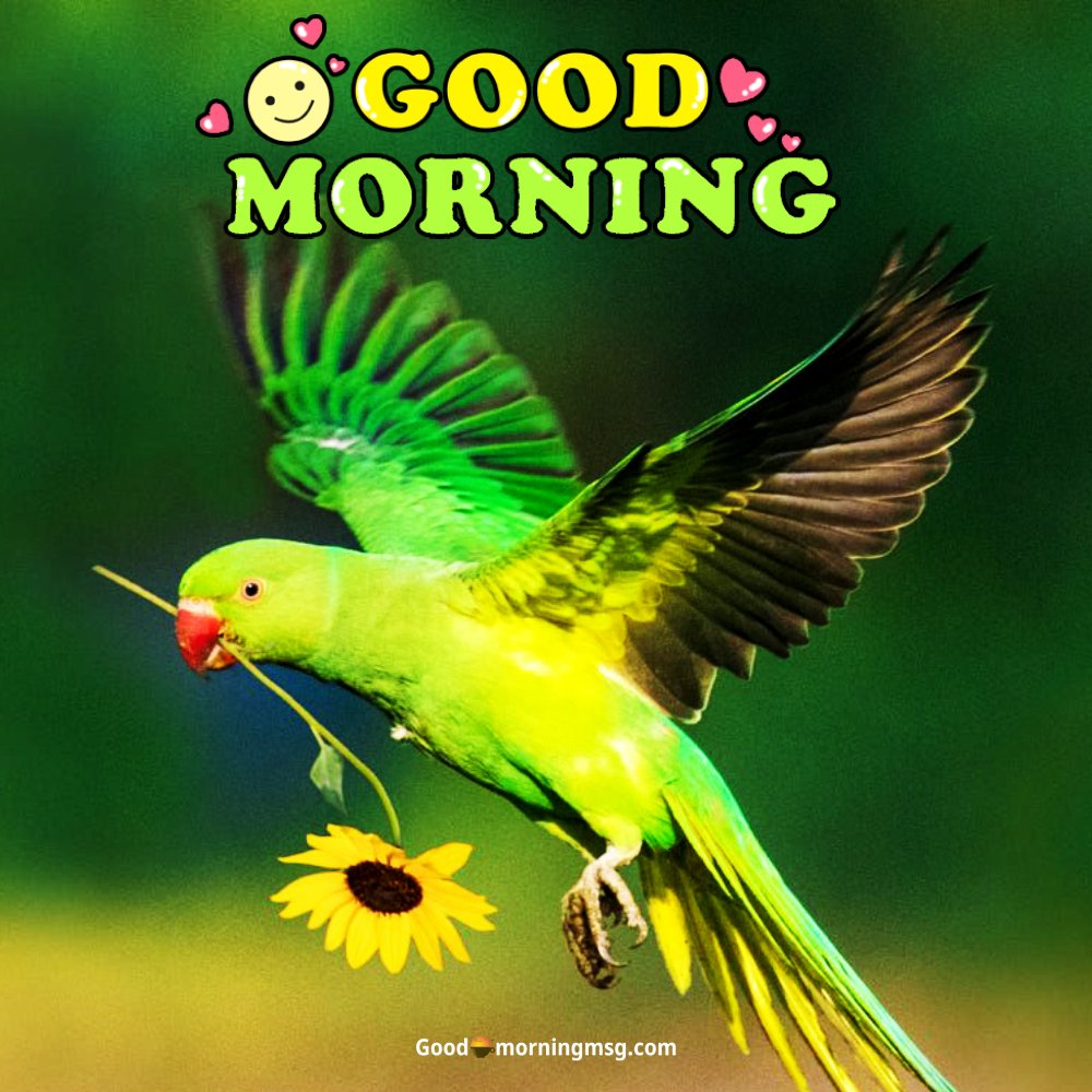 Cute Good Morning Birds